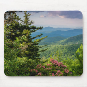 Mountain Laurel at Sunrise Mouse Pad