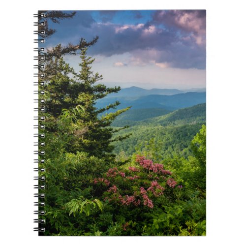 Mountain Laurel at Sunrise Notebook