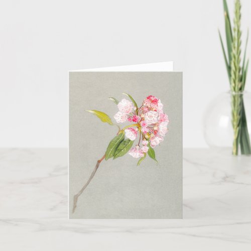 Mountain Laurel Blossom Card