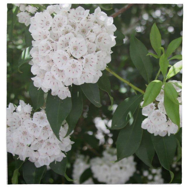 Mountain Laurel Florals Napkin (Front)