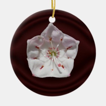 Mountain Laurel Flower ~ Ornament by Andy2302 at Zazzle