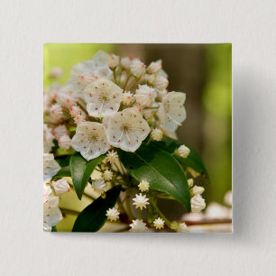 Mountain Laurel in bloom Button