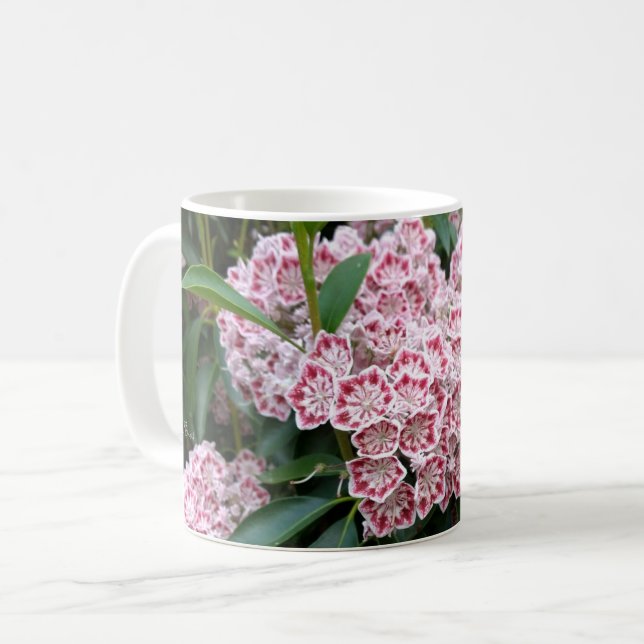 Mountain laurel on a mug (Front Left)