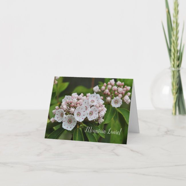 Mountain Laurel Photo Note Card