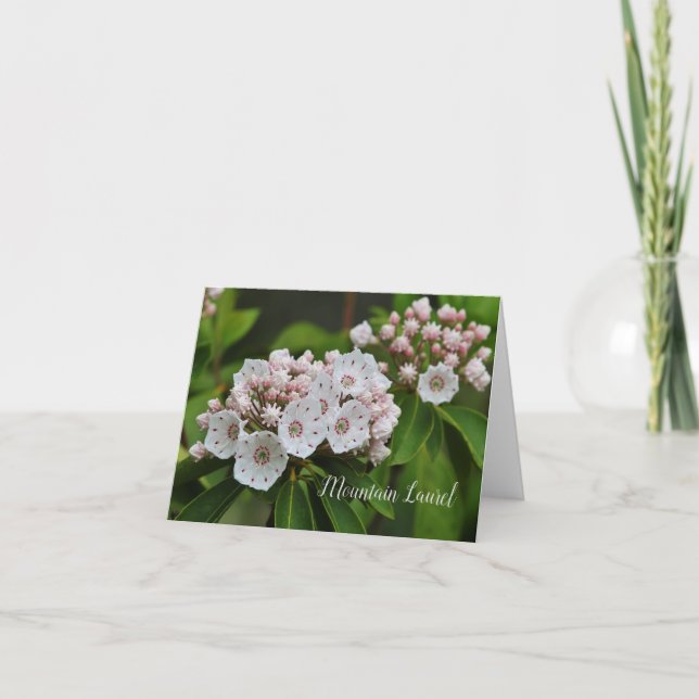 Mountain Laurel Photo Note Card (Front)