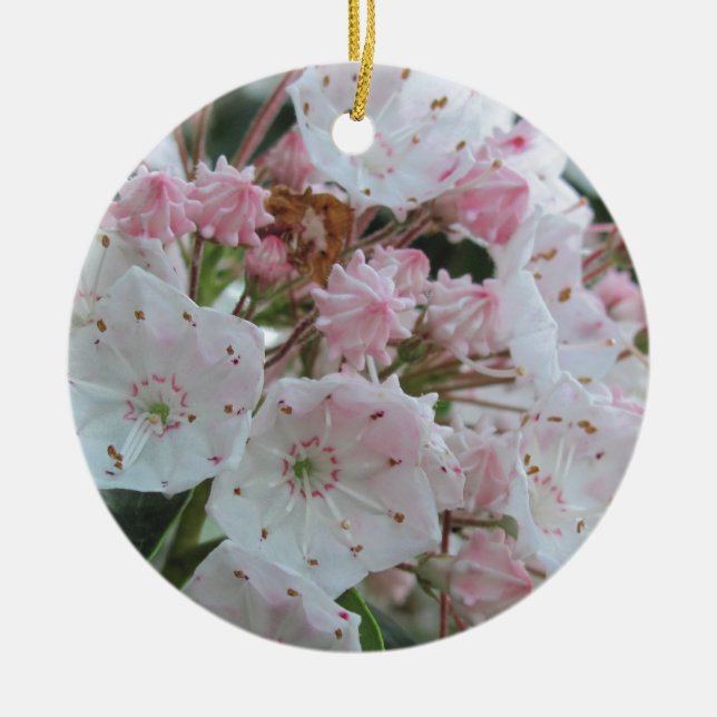 Mountain Laurel Products Ceramic Ornament (Front)