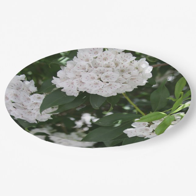 Mountain Laurel White Flowers Paper Plates (Angled)