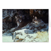 Mountain Lion (Front Horizontal)