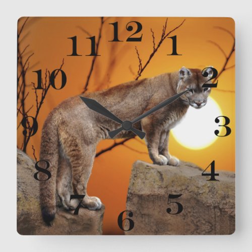 Mountain lion at sunset square wall clock