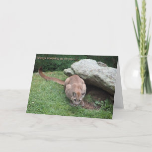 mountain lion birthday card