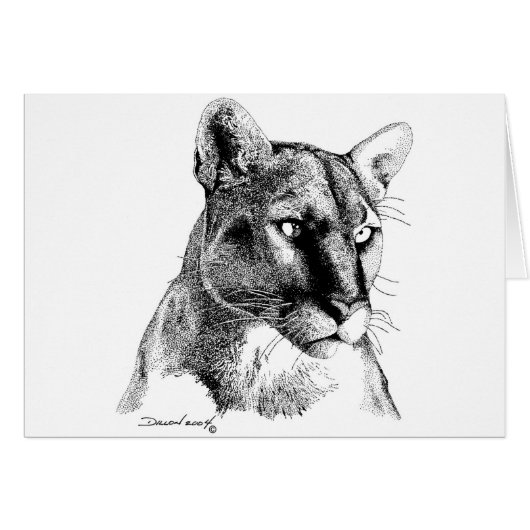 Mountain Lion Cards (Front Horizontal)