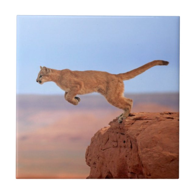 Mountain Lion Ceramic Tile (Front)