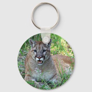 Mountain Lion Complaining Keychain