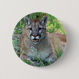 Mountain Lion Complaining Pinback Button