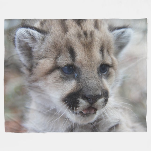 Mountain Lion Cub Fleece Blanket (Front (Horizontal))