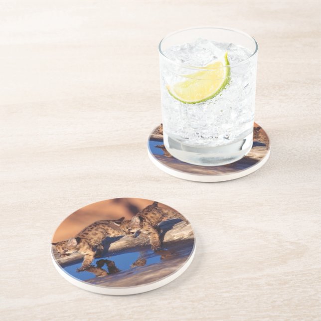 Mountain Lion Cubs Stone Coaster (Side)