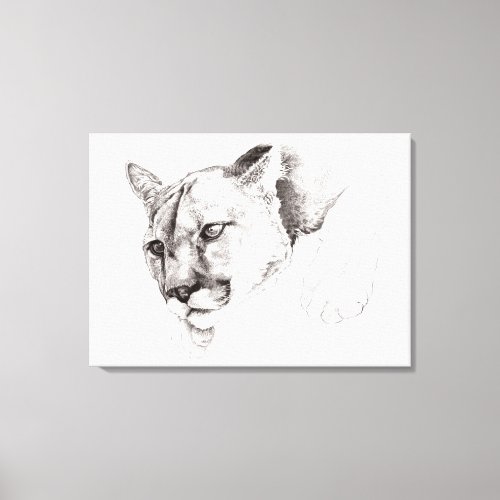 Mountain Lion Drawing Stretched Canvas Print