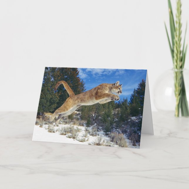 Mountain Lion Greeting Card (Front)