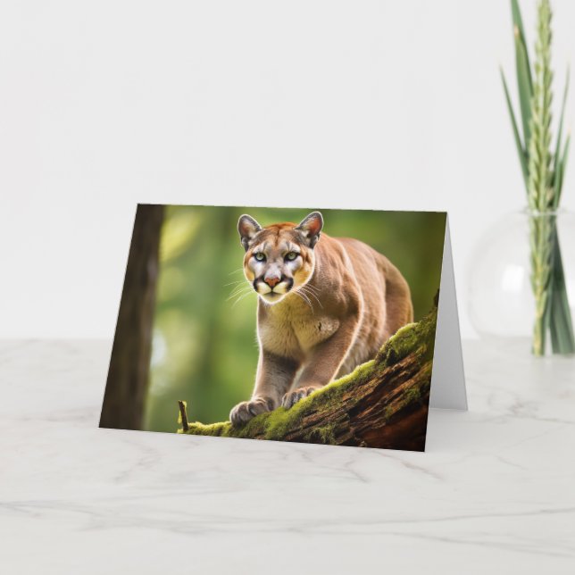 Mountain Lion Greeting Card (Front)