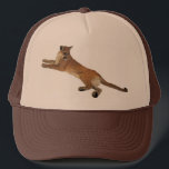 Mountain Lion Hat<br><div class="desc">Mountain Lion - Photo Design by Norman Reutter</div>
