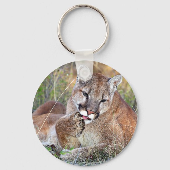 Mountain Lion - Hmmm Keychain (Front)