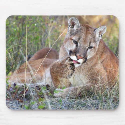 Mountain Lion _ Hmmm Mouse Pad