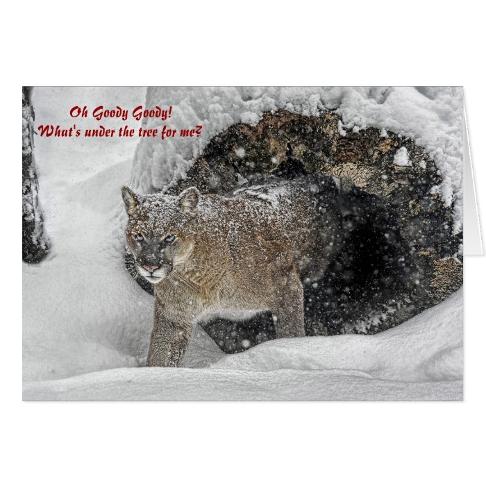 Mountain Lion Holiday Card