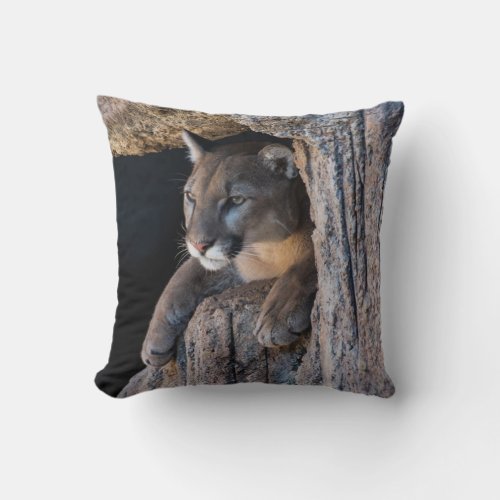 Mountain Lion in Cave Throw Pillow