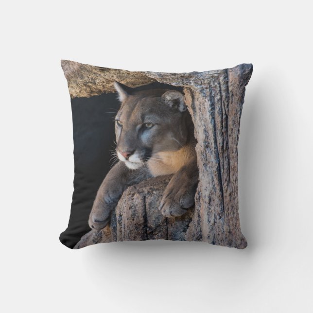 Mountain Lion in Cave Throw Pillow (Front)