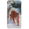 Mountain lion in snow