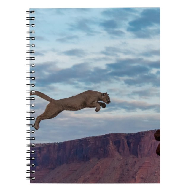 Mountain Lion Jumping Morning Skyjump,lion,animal, Notebook (Front)