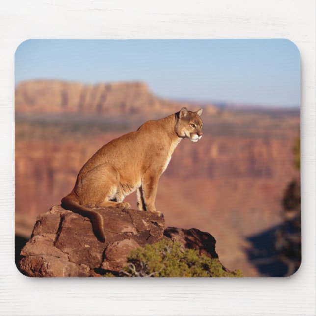Mountain Lion Mouse Pad (Front)