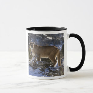 Mountain Lion Mug