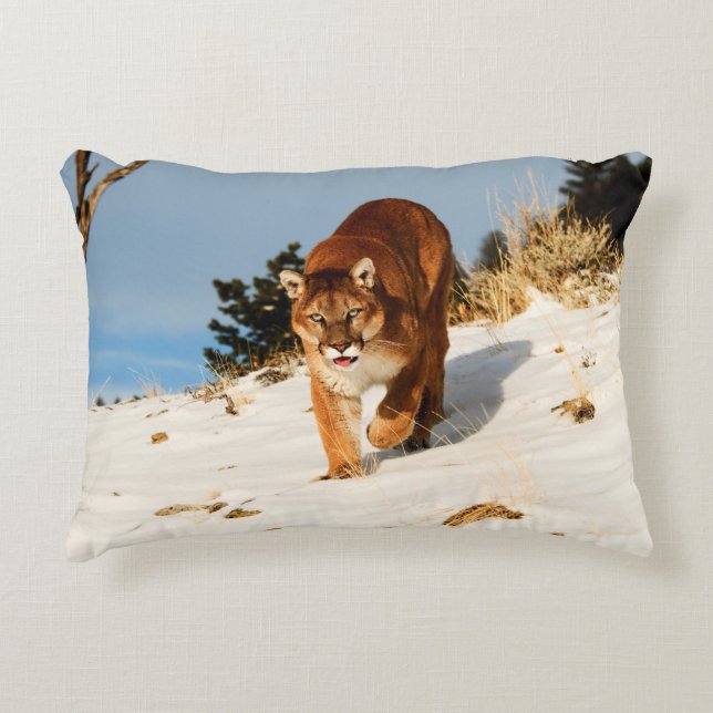 Mountain Lion on snowy hill Accent Pillow (Front)