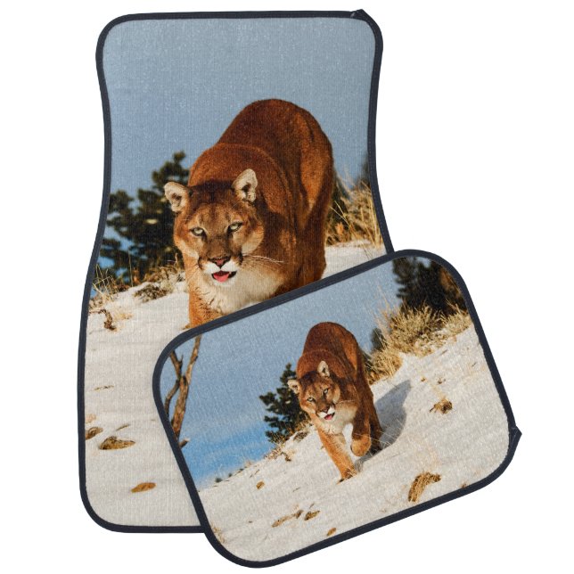 Mountain Lion on snowy hill Car Floor Mat (Set)