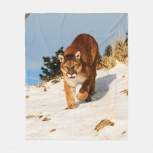 Mountain Lion on snowy hill Fleece Blanket