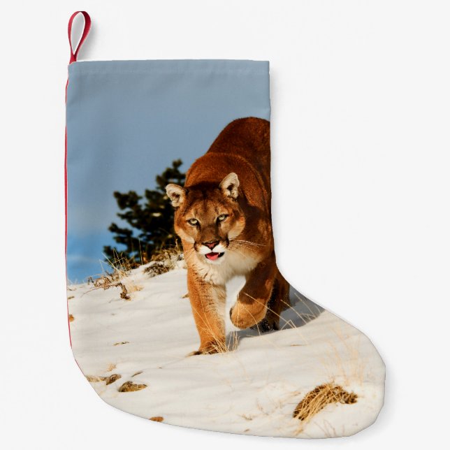 Mountain Lion on snowy hill Small Christmas Stocking (Front)