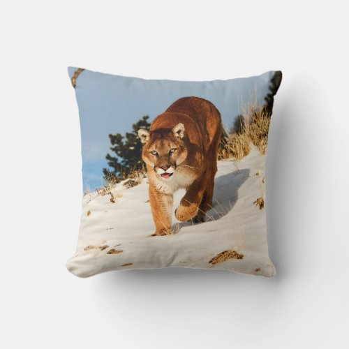 Mountain Lion on snowy hill Throw Pillow