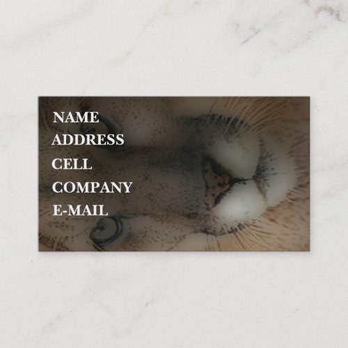 Mountain Lion on the Hunt Business Card