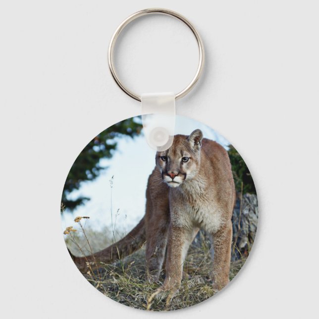 Mountain Lion on the Mountain Keychain (Front)