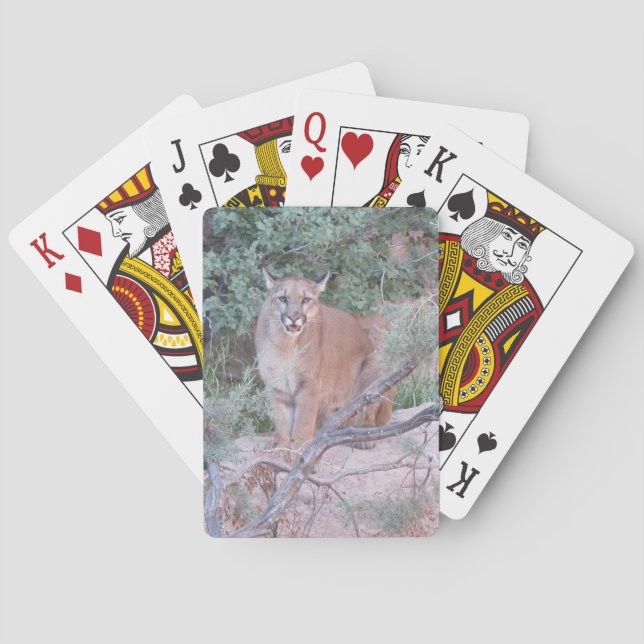 Mountain Lion Poker Cards (Back)