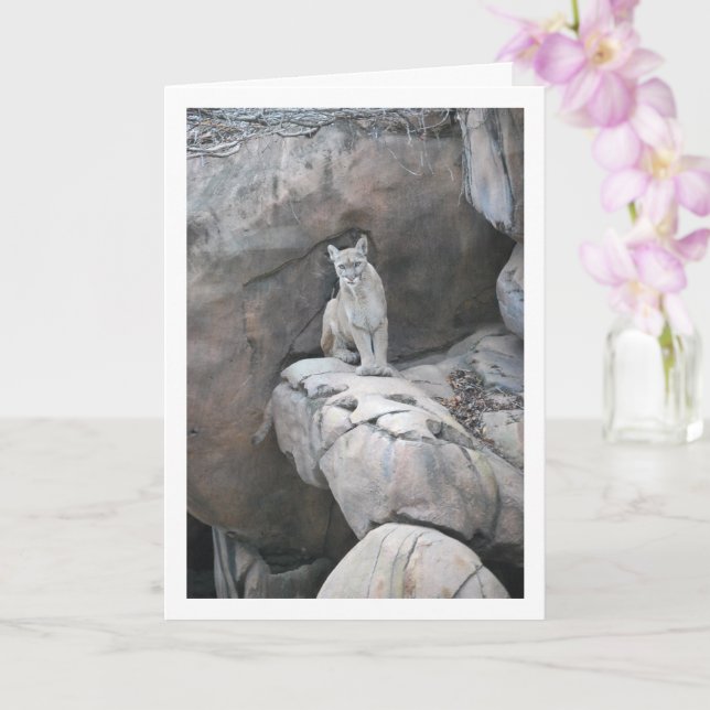 Mountain Lion Portrait Card (Orchid)