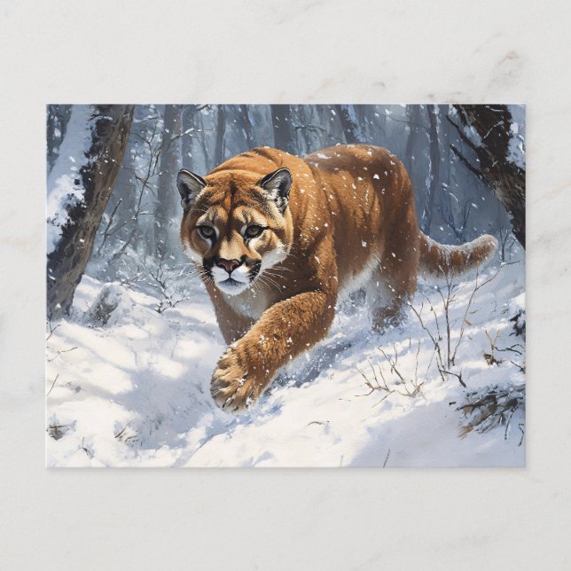 Mountain Lion Prowling in the Snow Art Postcard (Front)