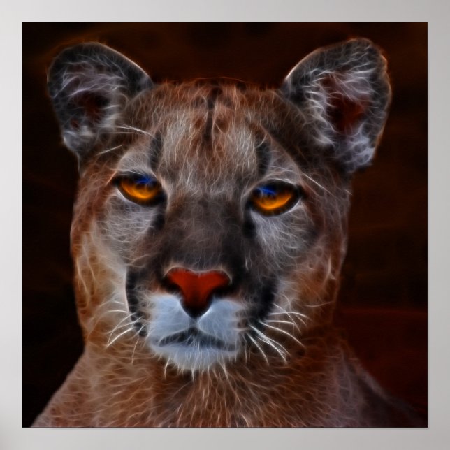 Mountain lion puma poster (Front)