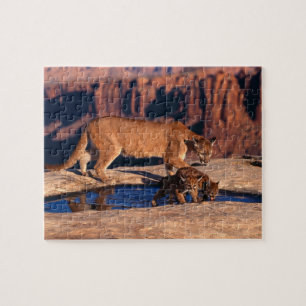 Mountain Lion Puzzle