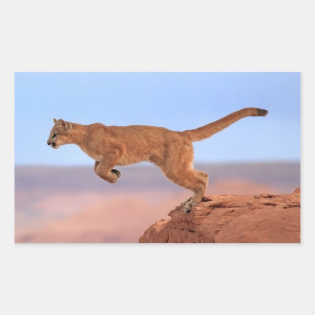 Mountain Lion Rectangular Sticker (Front)