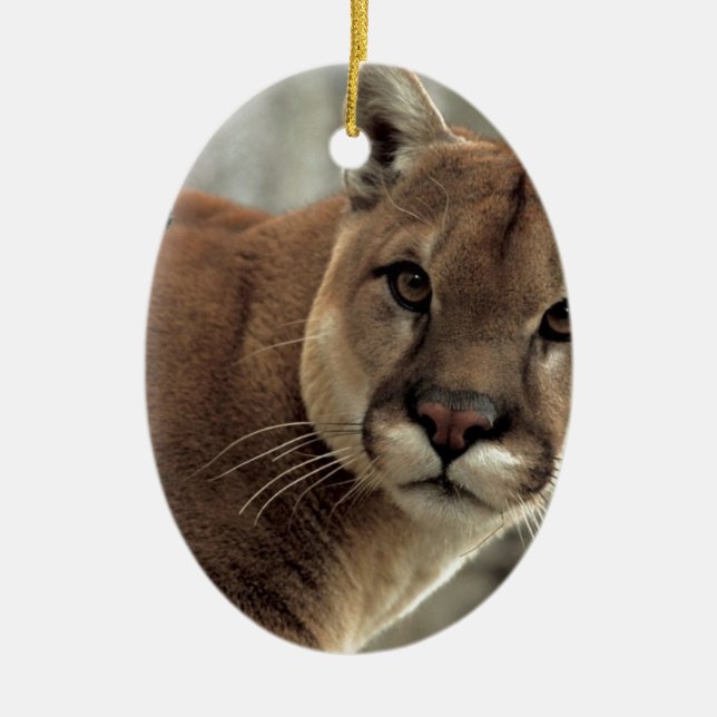 Mountain Lion Striking a Pose Ceramic Ornament (Front)