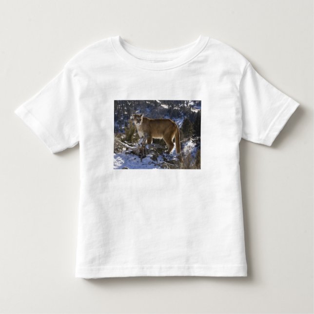 Mountain Lion Toddler T-shirt (Front)