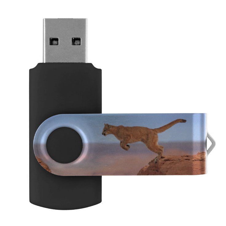 mountain lion usb