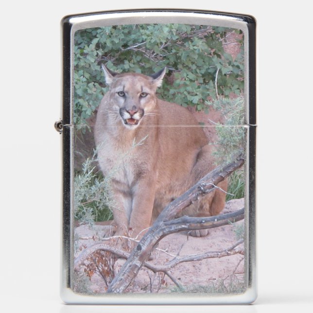 Mountain Lion Zippo Lighter (Front)